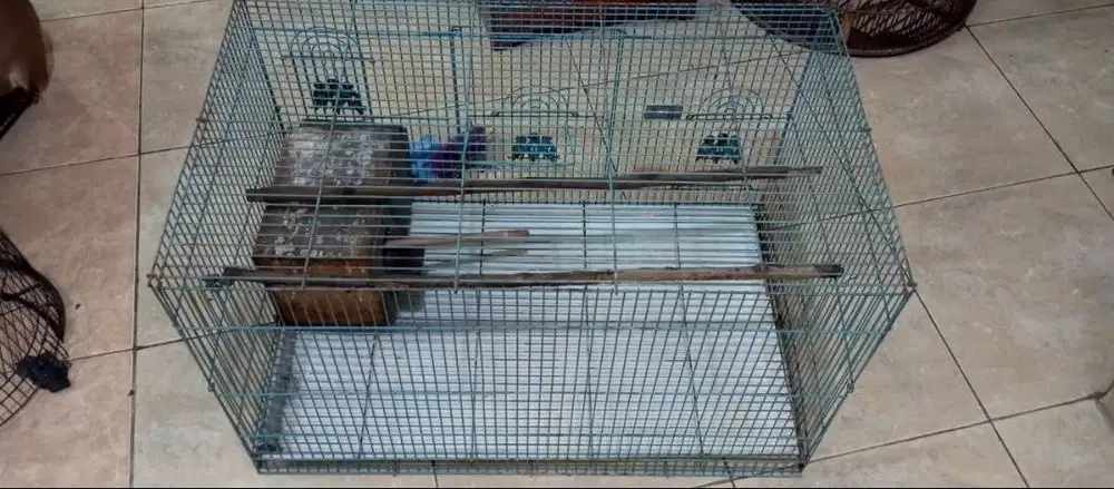 Kandang Burung Bekas Murah Meriah - Siap Pakai cocok untuk love bird