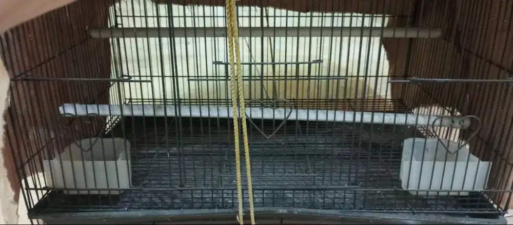 Kandang Burung Bekas Murah Meriah - Siap Pakai cocok untuk love bird