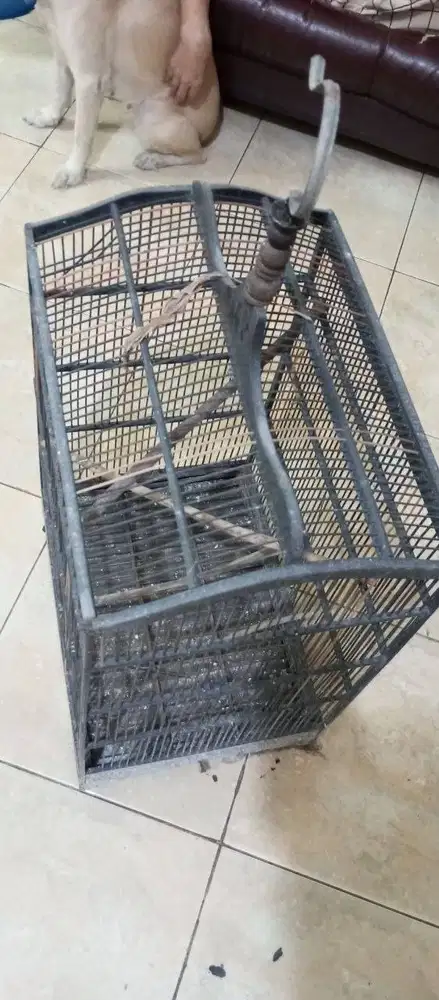 Kandang Burung Bekas Murah Meriah