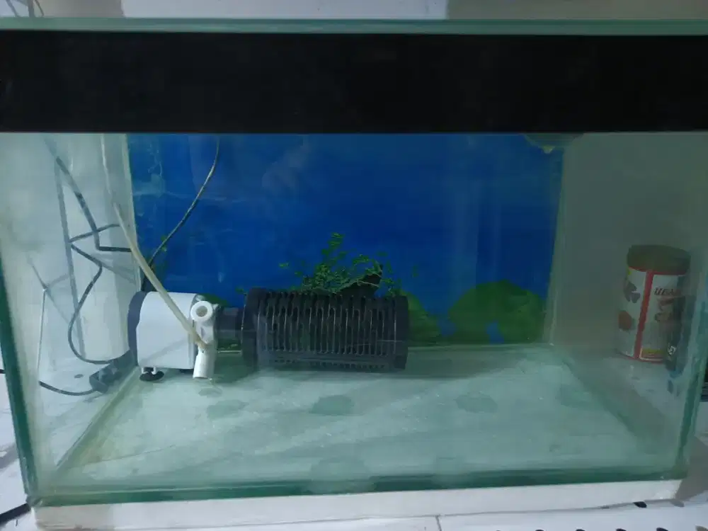 Aquarium kaca +filterasi dalam+ lampu sepaket