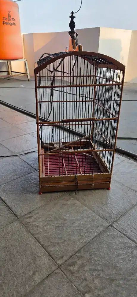 kandang kotak kenari nomor 1