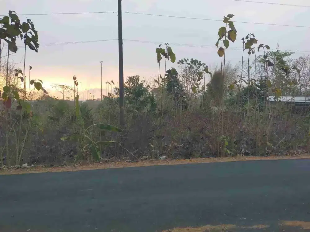 Tanah  Dijual Kawasan Industri Sentolo Kulon Progo