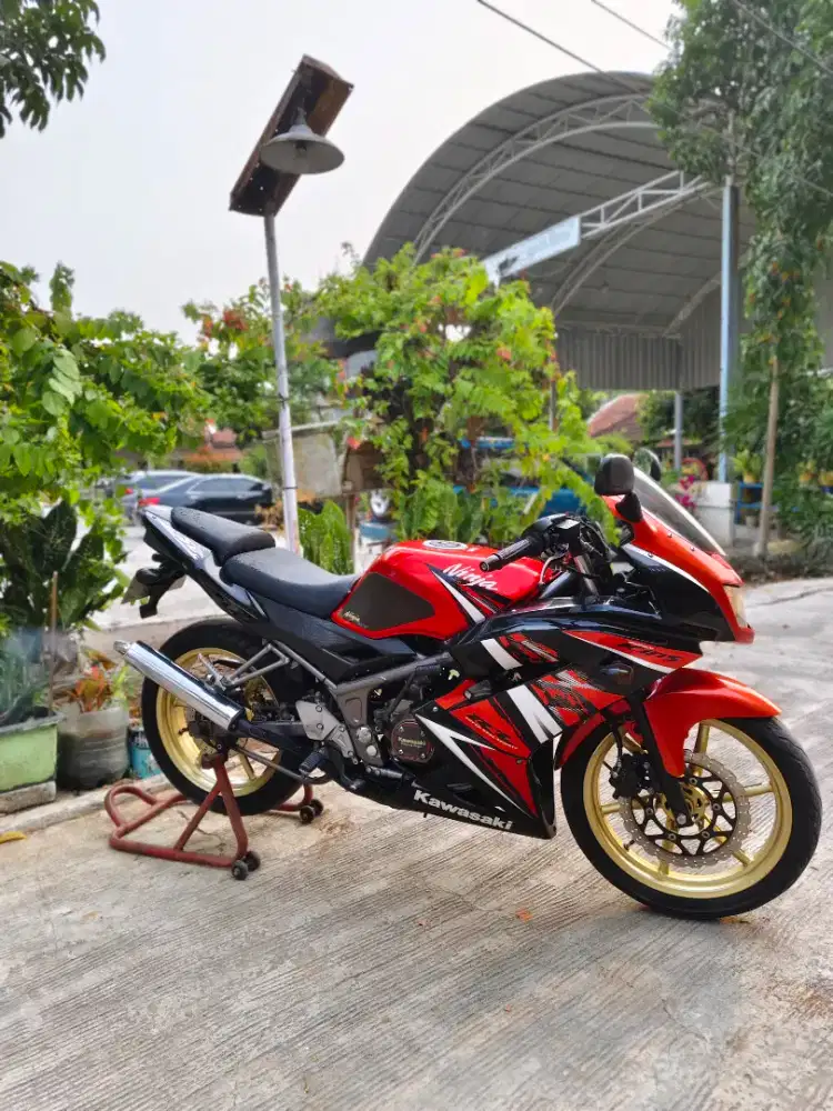 Ninja rr new 2014 SE
