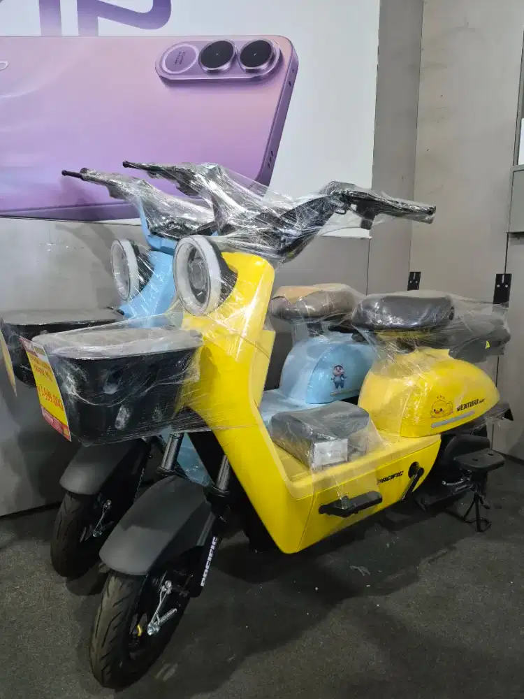 Pacific M2 warna kuning dan biru