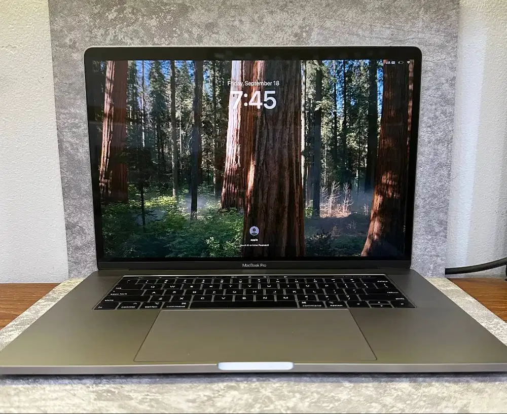 Macbook Pro 15” 2018 / RAM 16GB / SSD 512GB
