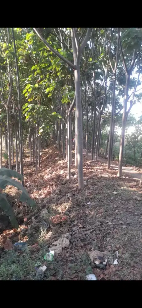 Tanah 2240 m2 | Cocok Untuk Gudang - Cluster Perumahan