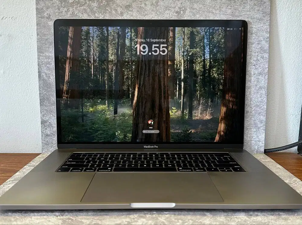 Macbook Pro 15” 2019 / RAM 16GB / SSD 256GB