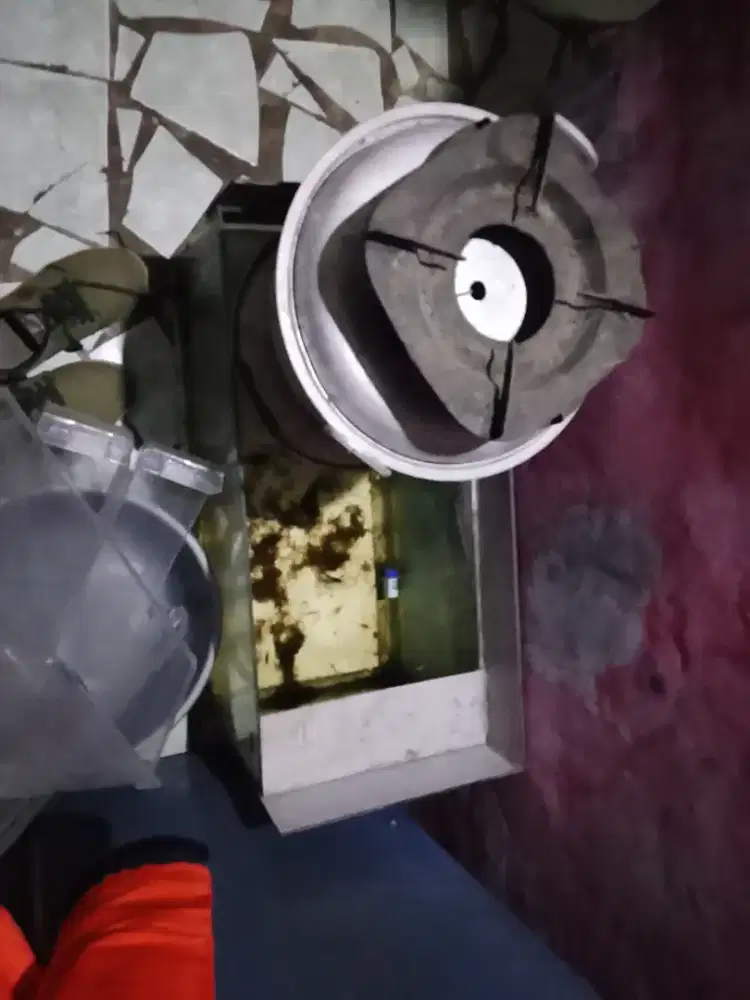Aquarium gratis