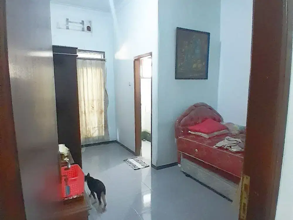 Rumah di Perak Barat Krembangan, Strategis Murah, Hadap ke Barat Daya (Tapi Adem dan Asri)