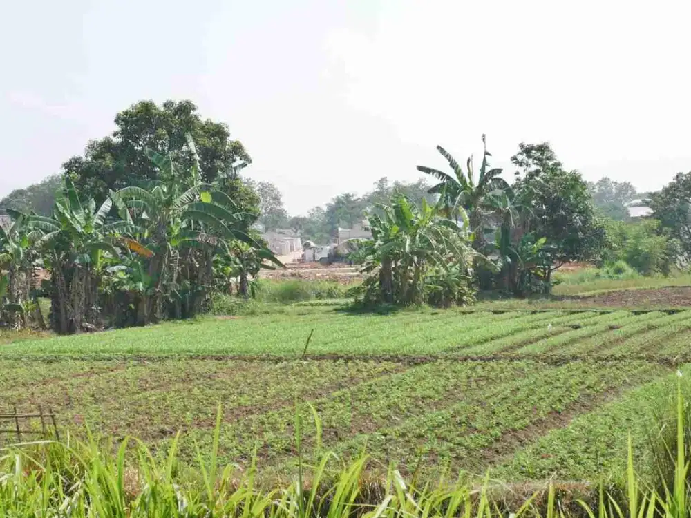 Tanah Luas 9 hektar View Danau di Cileungsi