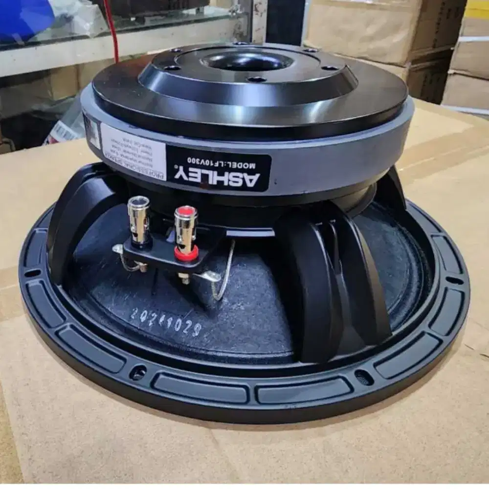 Speaker 10 inch Ashley lf10v300