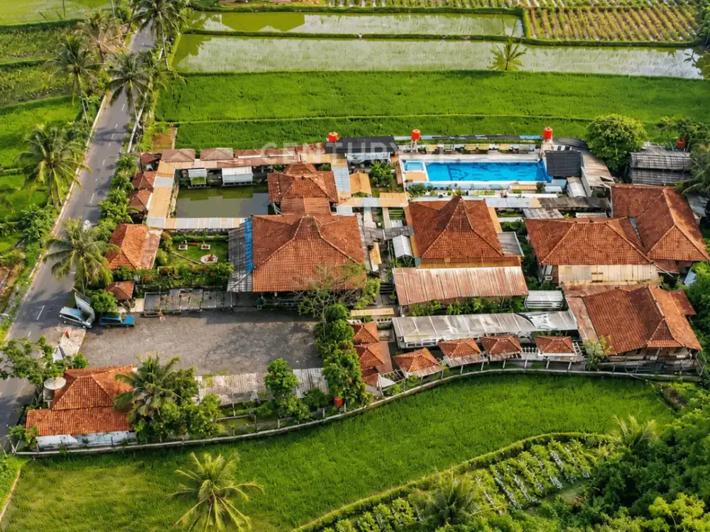 Aset Usaha Luas View Sawah Di Muntilan Ideal Bisnis Kuliner