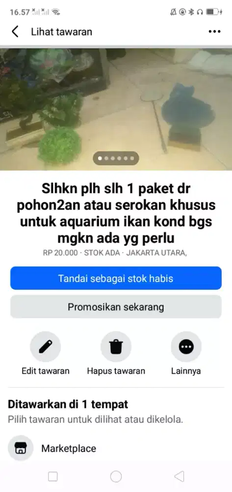 Slhkn plh slh 1 dr pohon 2an/serokan aquarium ikan hrg murah sj cpt