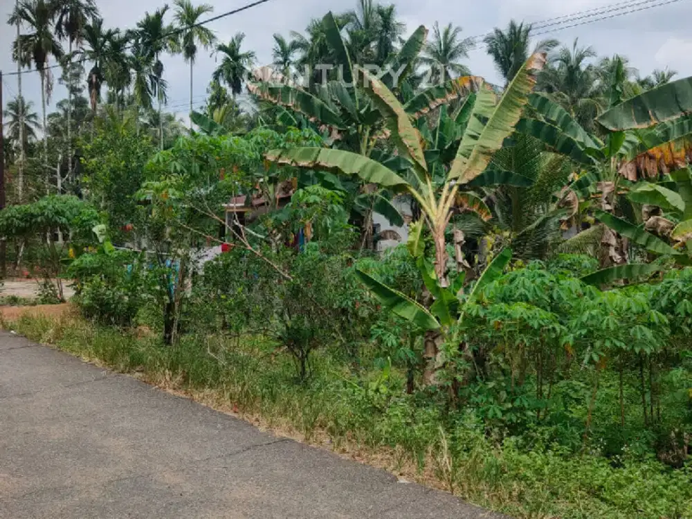Tanah Dekat Tempat Wisata Di Daerah Berkembang