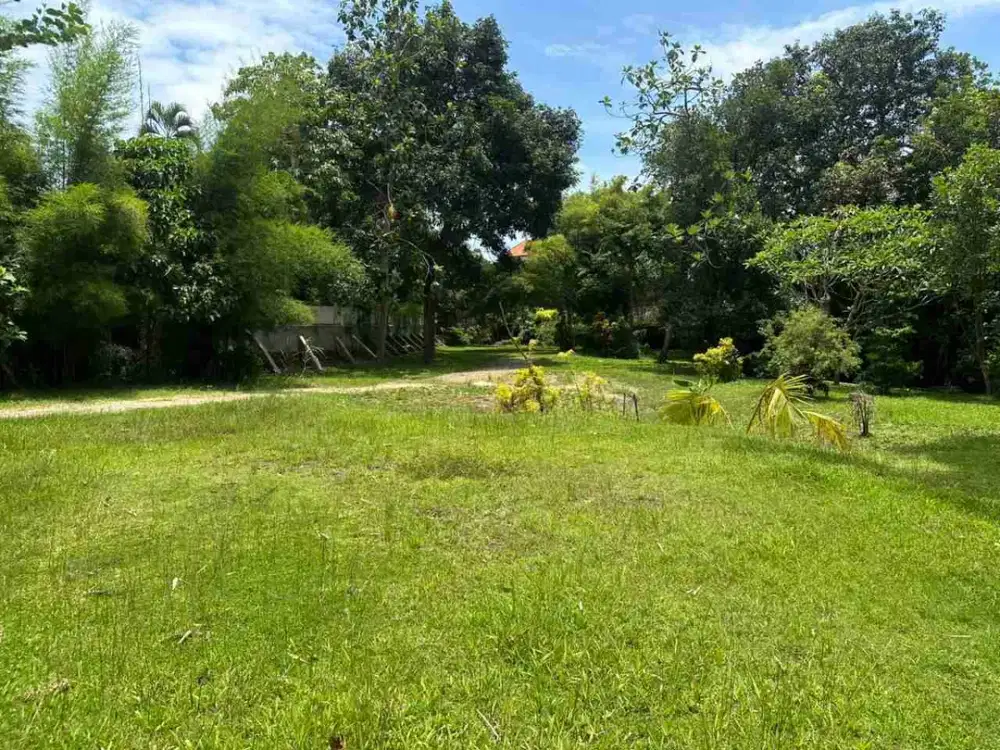 DIJUAL TANAH STRATEGIS DI KEROBOKAN BALI
Kesempatan menarik untuk mendapatkan lahan luas di kawasan strategis Kerobokan dengan 10 Are Leasehold GRATIS.