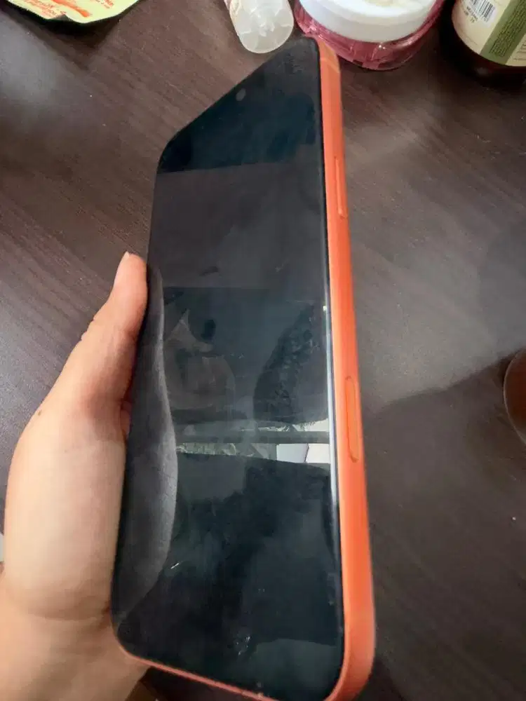 IPHONE 17 promax