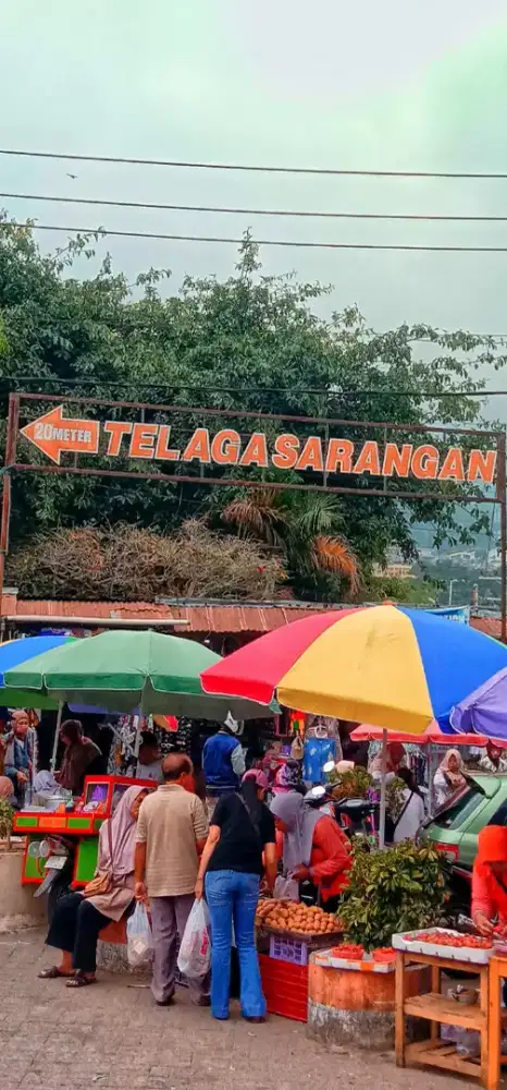 Sewa mobil dengan driver Jogja