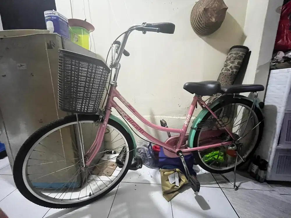 Sepeda Wanita Second