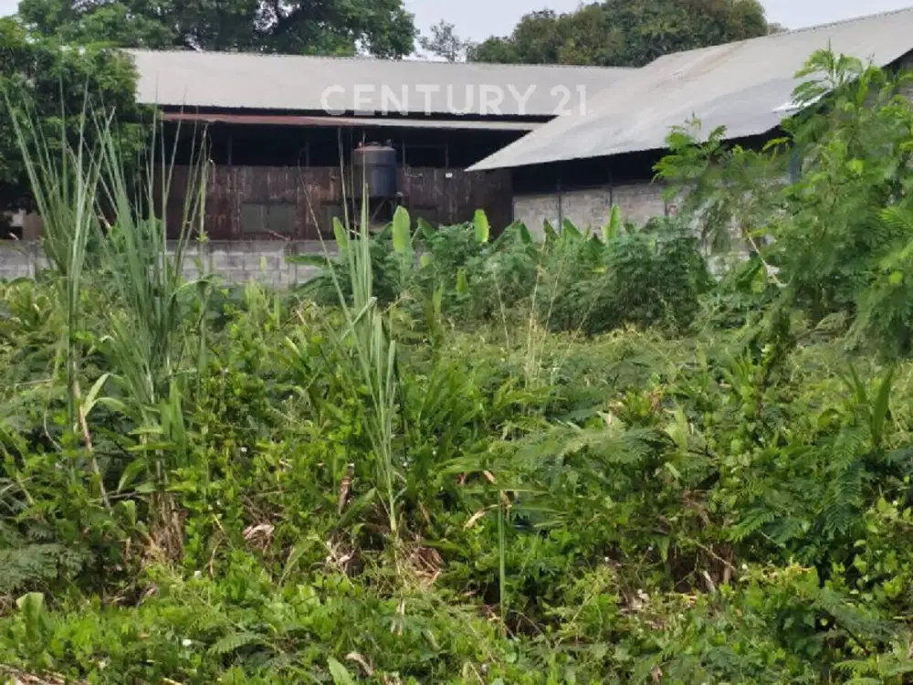 TANAH INDUSTRI LUAS & STRATEGIS DI NAROGONG CILEUNGSI BOGOR S9942
