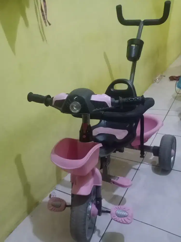Sepeda Anak Anak