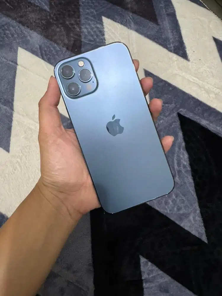 Iphone 12 Pro Max 256Gb Garansi