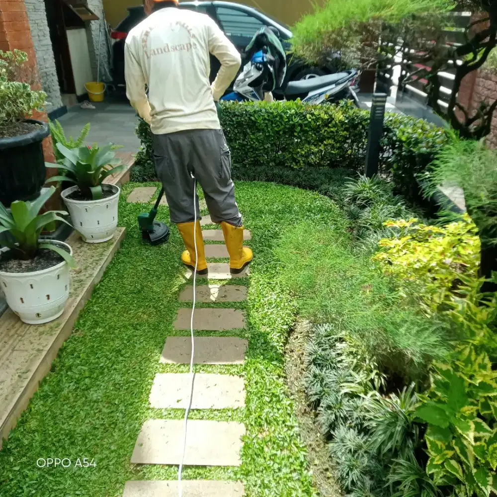 Jasa perawatan taman Potong rumput dll
