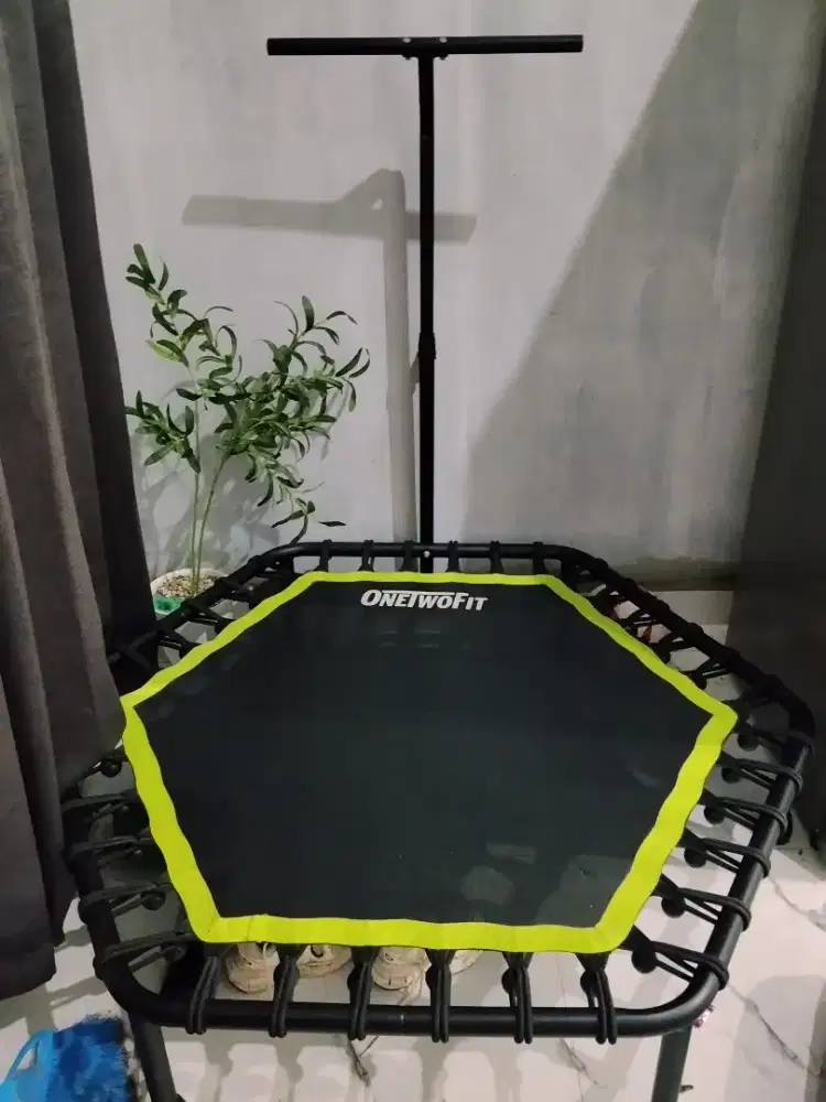 Trampolin olahraga