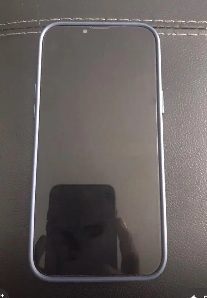 Iphone 13 Pro Max 256 Resmi