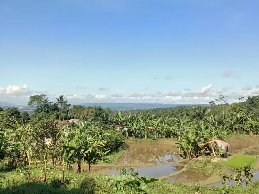 Dijual Tanah 9.000 m2 di Lido, Bogor
