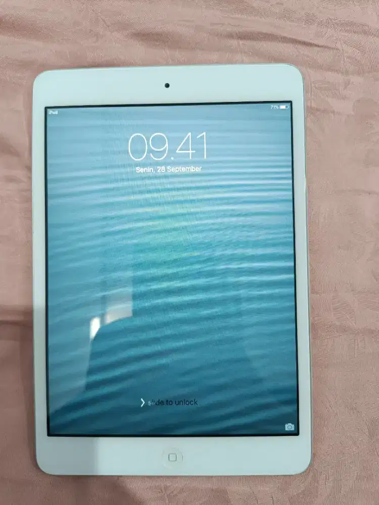 Ipad Mini 1 16 GB Silver Apple