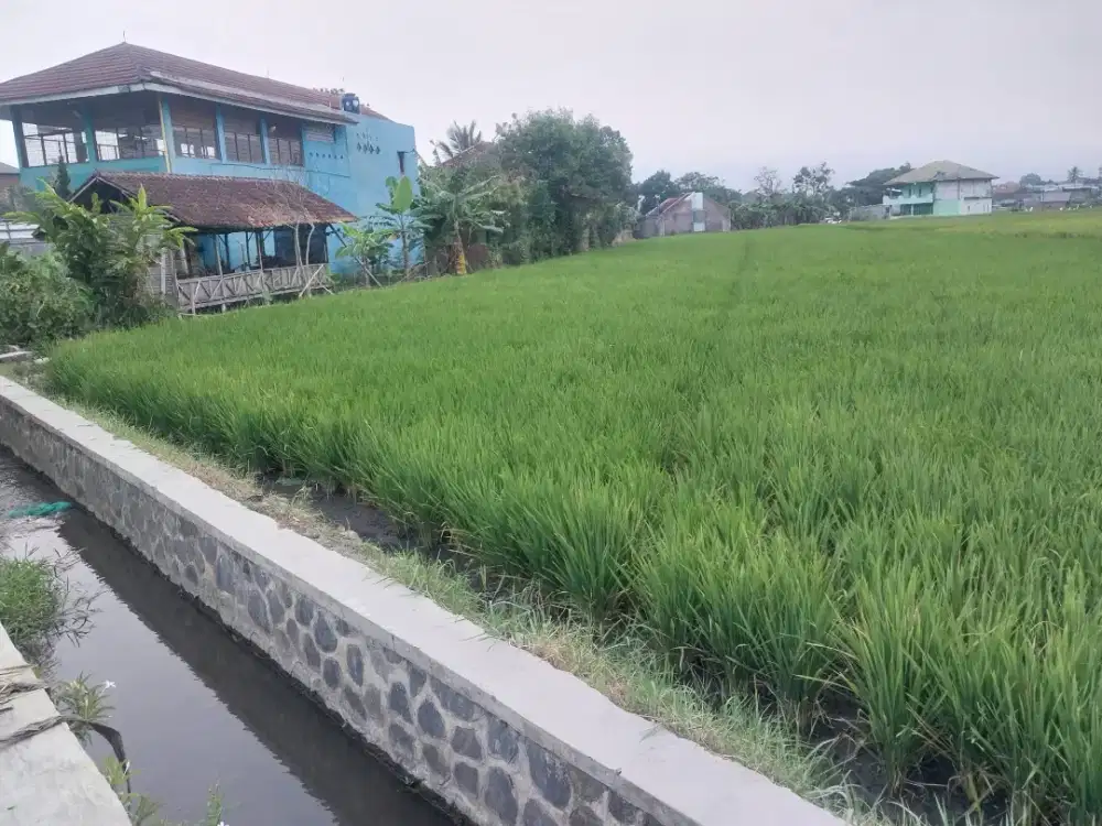 Di Jual Tanah Sawah Produktif Garur Jl H Anwar Musadad