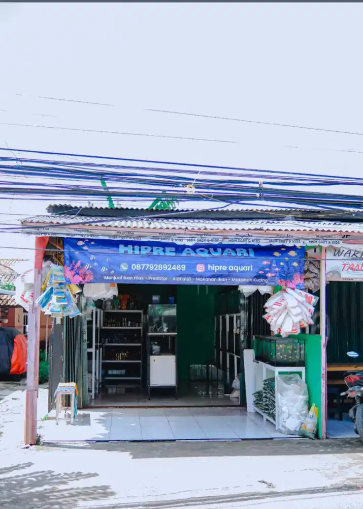 Borongan Aquarium+ Rak n perlengkapan Toko ikan Hias ,depok