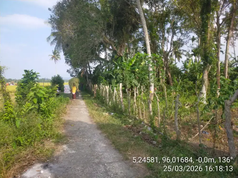 Tanah SHM 1.751 m² Kampung Jeumpa Pidie – Akses Mobil – 963 Juta Nego