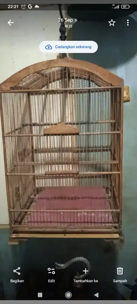 Kandang kotak no 1 eks kacer di BSD