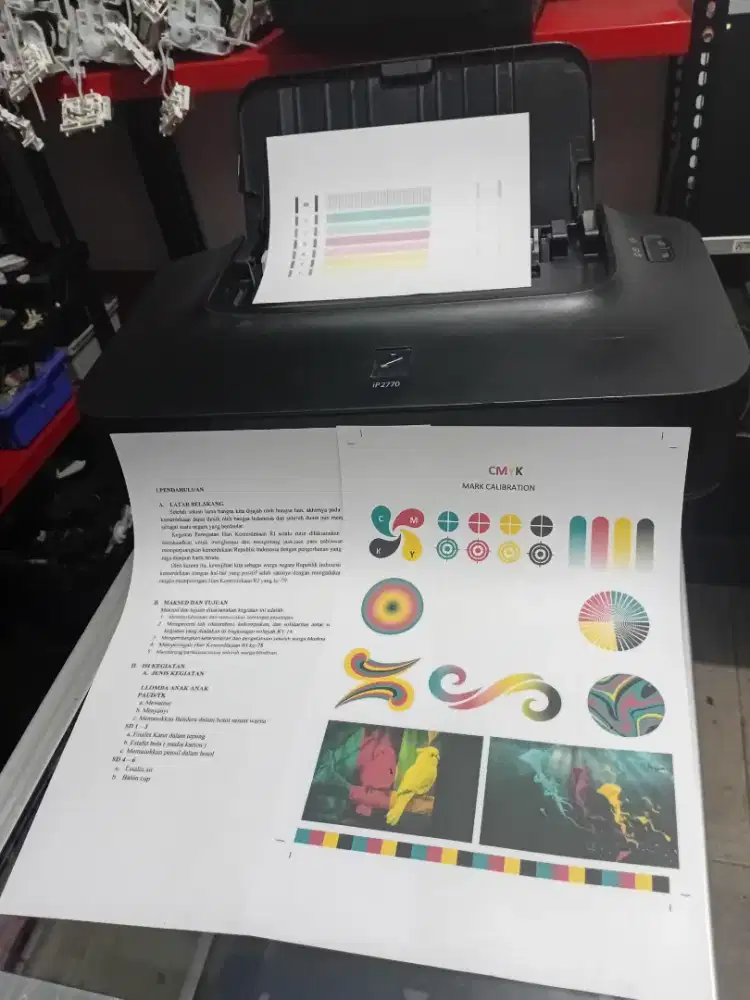 Printer Ip 2770