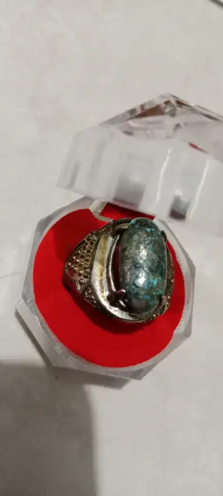 Pirus persia pyrite ( badar perak )