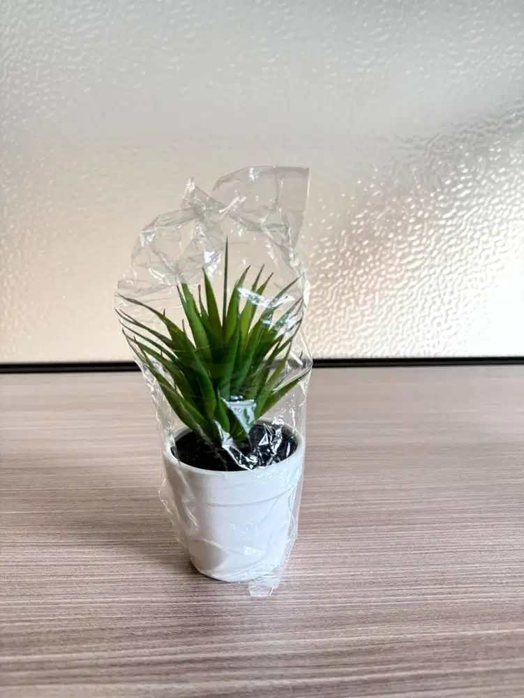Tanaman Sukulen / Lidah Buaya Artificial Pot Putih Estetik