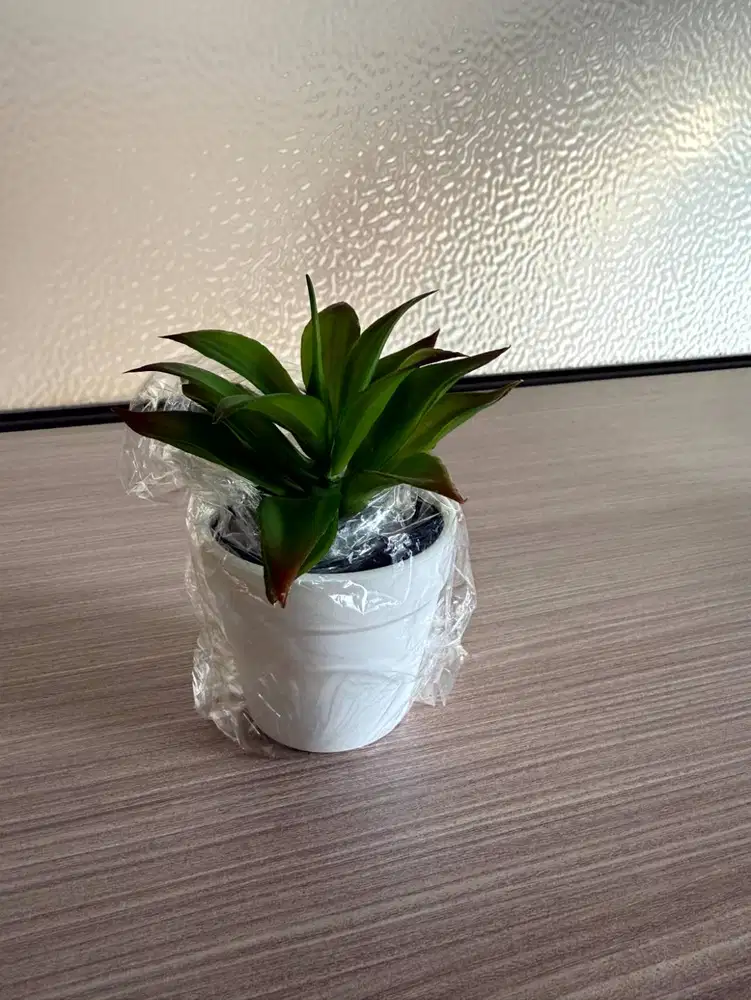 Tanaman Hias Artificial Sukulen Agave Mini Pot Putih