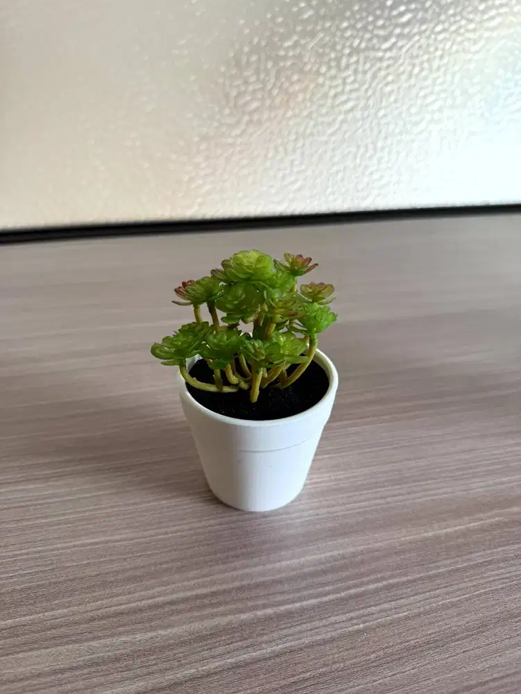 Tanaman Hias Artificial Sukulen Mini Sedum Pot Putih