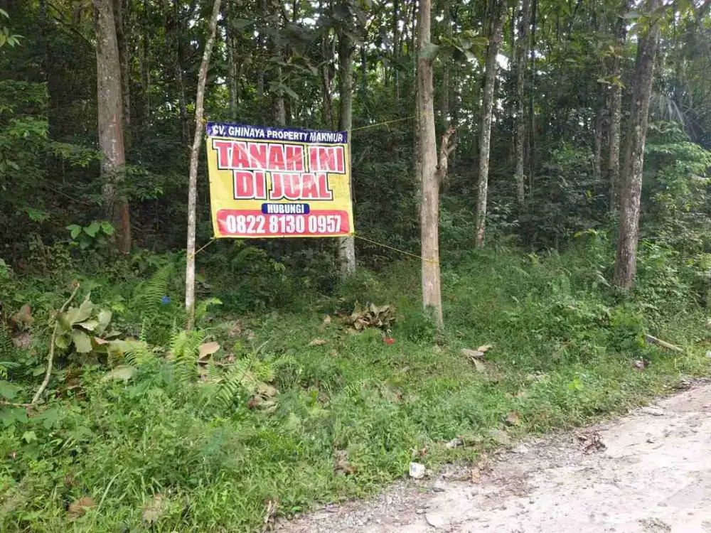 TANAH MURAH BERISI KEBUN JATI DAN DENGAN PANORAMA DANAU RANAU DAN GUNUNG SEMINUNG DI DESA KOTA BATU, KEC.WARKUK RANAU PENGHUBUNG KAB LAMPUNG BARAT DAN KAB.OKU SELATAN