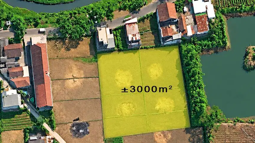 Jual Tanah / Sawah Strategis 3000 m² Di Pameungpeuk Kab. Bandung