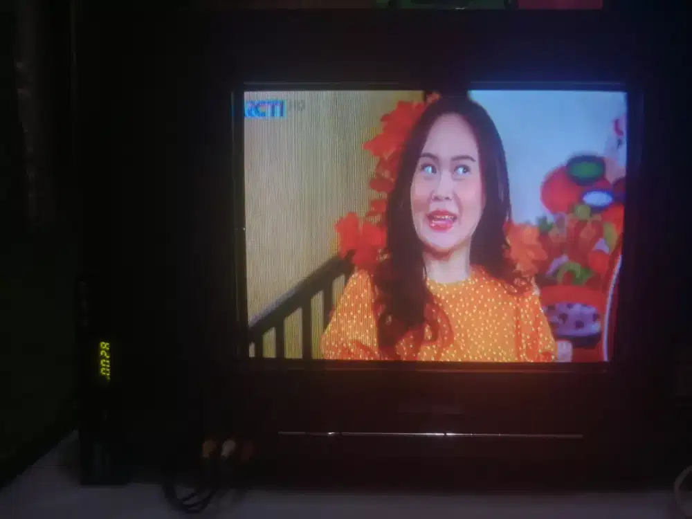TV Polytron 14 inch