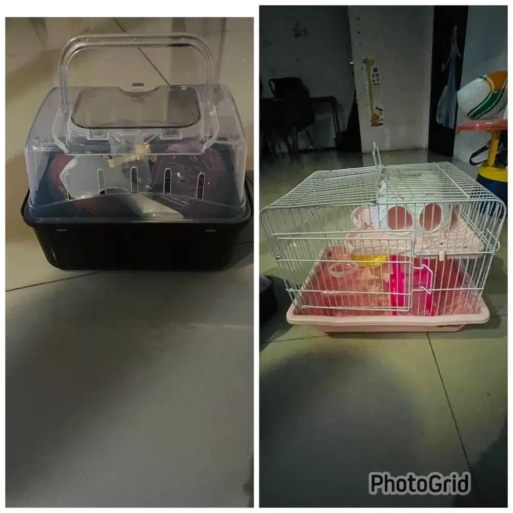 Kandang Sugar glider / Hamsters