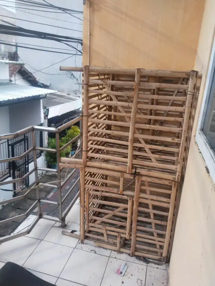 Kandang ayam baru