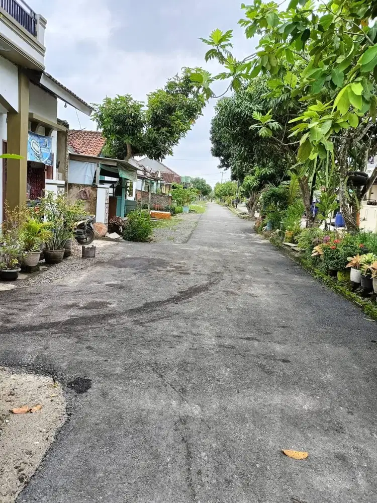 TANAH MURAH DEPAN KAMPUS ITERA