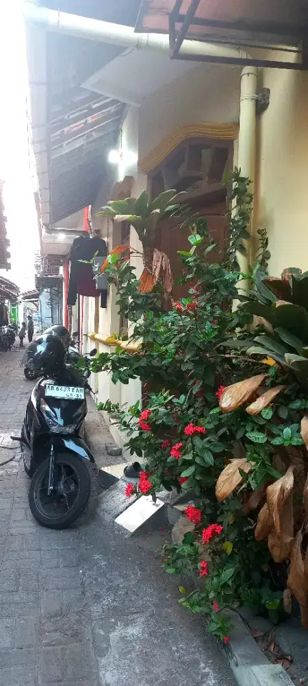 Rumah minimalis untuk mahasiswa dan keluarga kecil