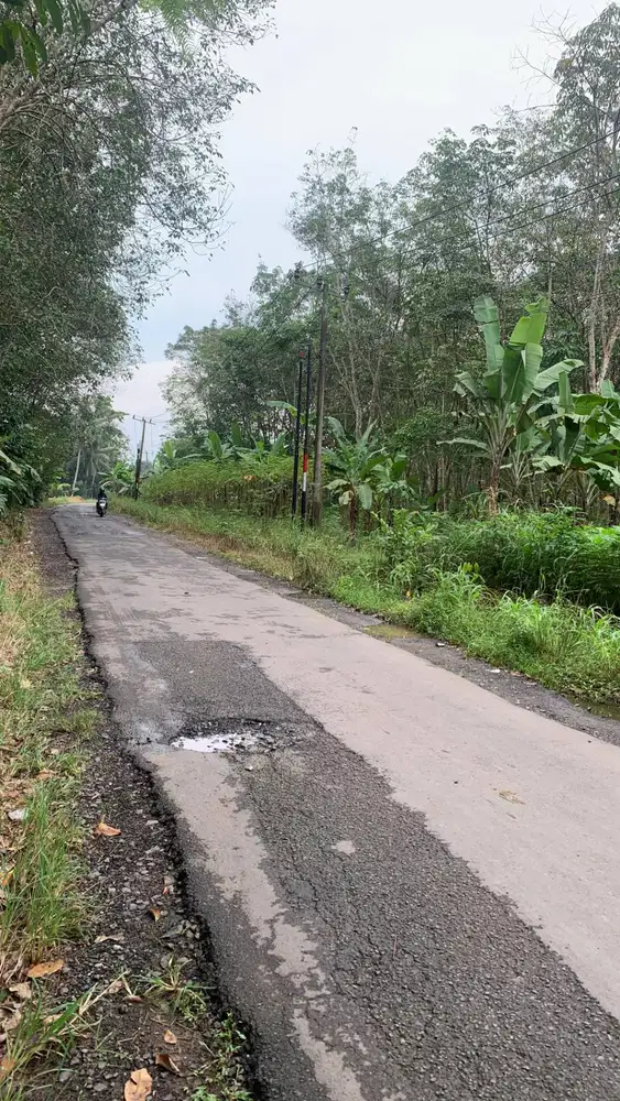 TANAH MURAH WAYGALIH  JALAN UTAMA  DEKAT KAMPUS ITERA