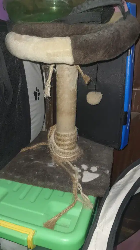 CAT TREE MERK PET KINGDOM PRELOVED