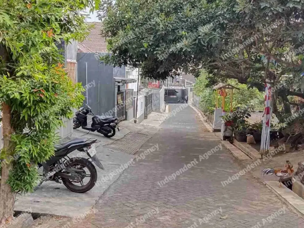 dijual tanah dekat undip, jln gondang tembalang
