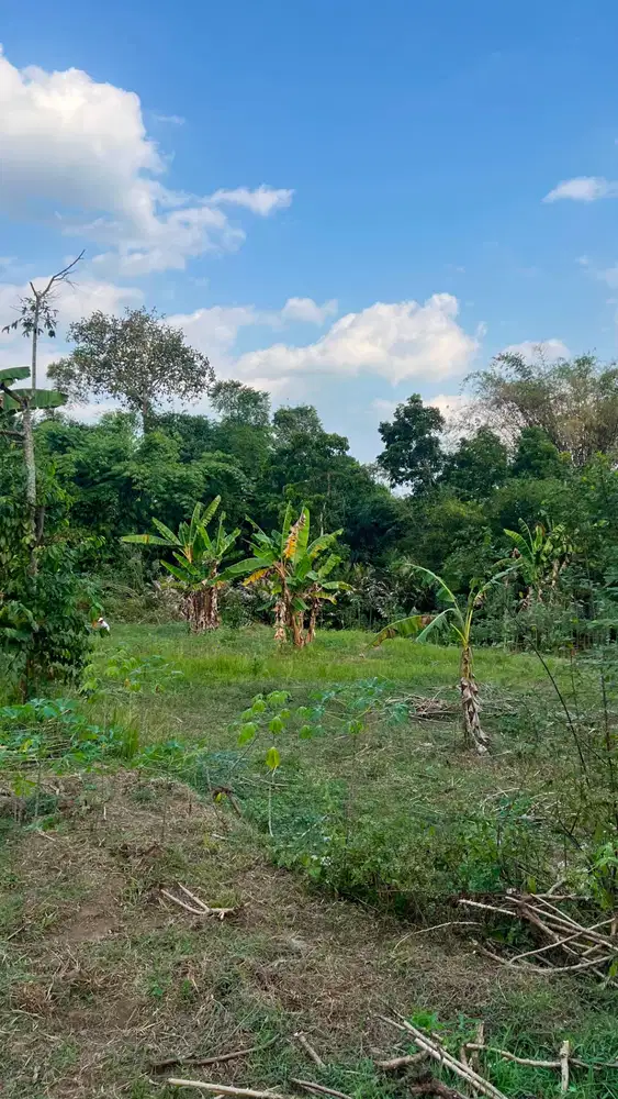 Tanah Dijual MURAH, Investasi Terbaik!